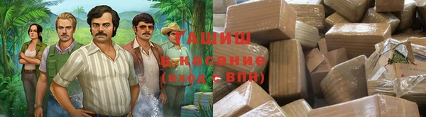 индика Бородино