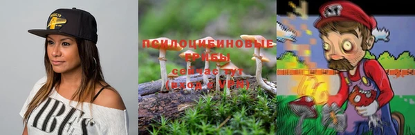 индика Бородино