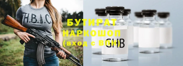 индика Бородино
