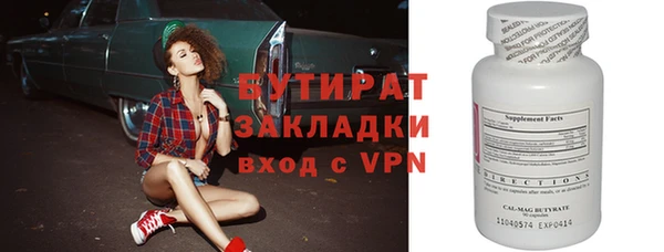 индика Бородино