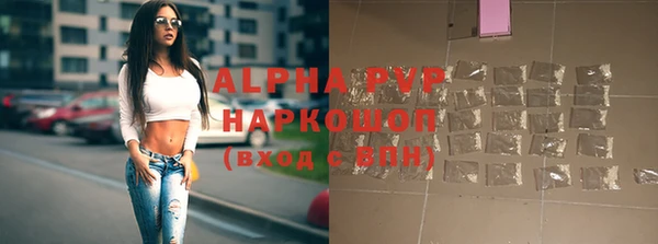 индика Бородино
