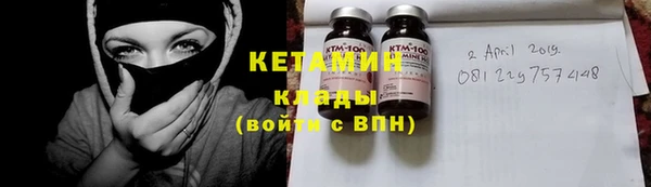 индика Бородино