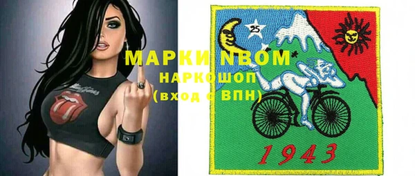 индика Бородино