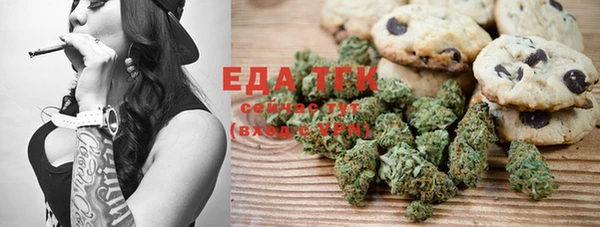 индика Бородино