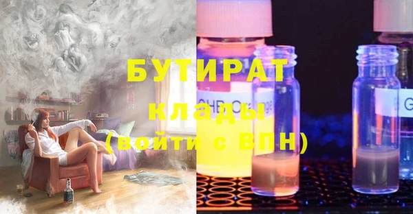 индика Бородино