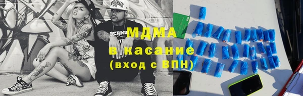 индика Бородино