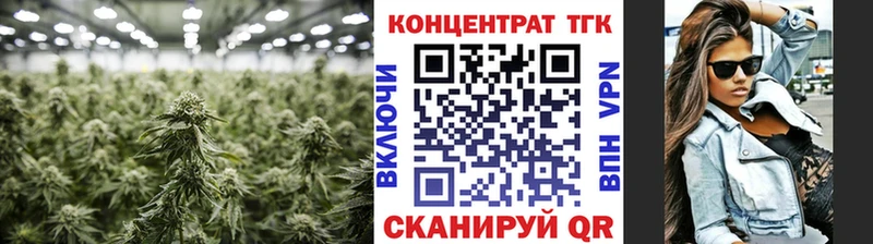 blacksprut онион  Новохопёрск  Дистиллят ТГК гашишное масло 