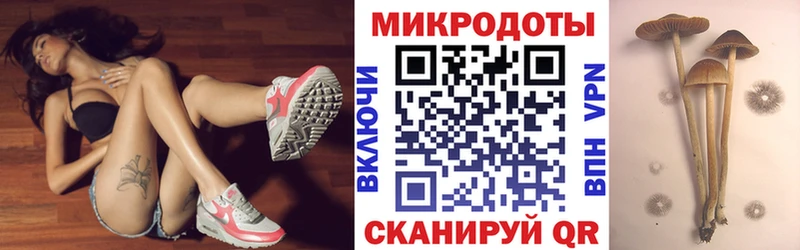 Псилоцибиновые грибы прущие грибы  МЕГА онион  Новохопёрск 